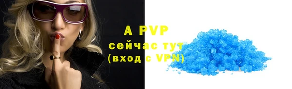 ПСИЛОЦИБИНОВЫЕ ГРИБЫ Богданович