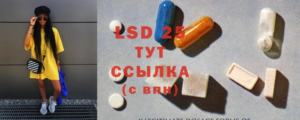 ПСИЛОЦИБИНОВЫЕ ГРИБЫ Богданович