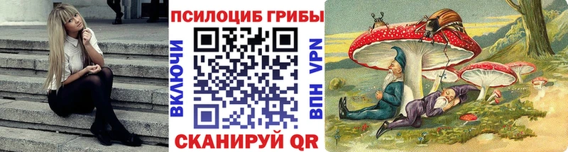 где купить наркоту  Киреевск  Галлюциногенные грибы Psilocybe 